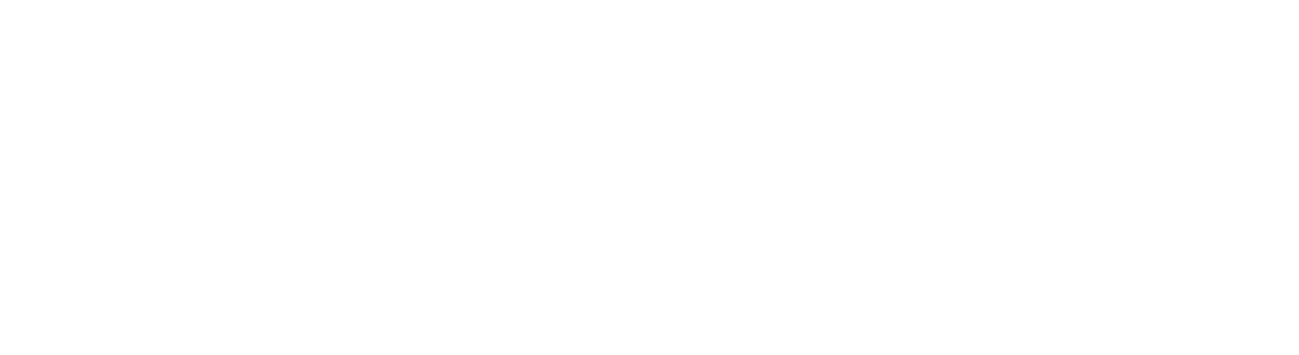 DYNAMIC HWASEONG